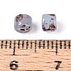 Baking Paint Glass Seed Beads SEED-N009-02A-3