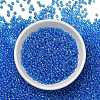 FGB 8/0 Grade A Round Glass Seed Beads SEED-Q010-3mm-F545-2