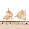 Brass Pendants KK-G532-09G-3