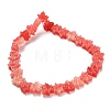 Synthetic Coral Dyed Carved Beads BSHE-H114-02F-3