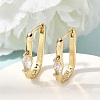 Brass Clear Cubic Zirconia Huggie Hoop Earrings EJEW-G473-03G-1