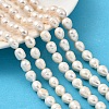 Natural Cultured Freshwater Pearl Beads Strands PEAR-I007-01F-04A-1