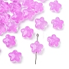 30Pcs Baking Paint Glass Beads GLAA-FS0001-99E-1