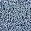 TOHO Round Seed Beads SEED-XTR11-1205-2