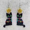 Acrylic Dangle Earrings FS-WG6E261-01-2