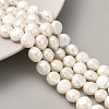 Natural Cultured Freshwater Pearl Beads Strands PEAR-A006-09F-2