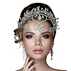 Stainless Steel Rhinestone Hair Bands for Women OHAR-WH0039-18-1