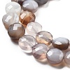 Natural Botswana Agate Beads Strands G-C179-A18-02-4