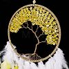 Iron Woven Web/Net with Feather Pendant Decorations AJEW-B017-12-4