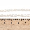 Natural Cultured Freshwater Pearl Beads Strands PEAR-P064-20E-03A-5