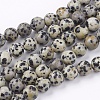 Natural Dalmatian Jasper Stone Bead Strands G-R193-14-8mm-1