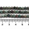 Natural African Turquoise(Jasper) Beads Strands G-G140-A12-03-5