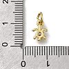 Brass Micro Pave Cubic Zirconia Pendants ZIRC-I070-051G-3