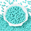 Opaque Baking Paint Glass Seed Beads SEED-T008-02O-2