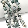 Natural Tree Agate Beads Strands G-C267-A18-1
