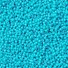 MIYUKI Round Rocailles Beads SEED-G008-RR4480-3