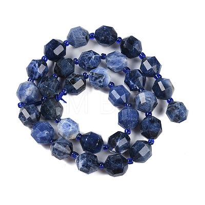 Natural Sodalite Beads Strands G-O201B-112G-1