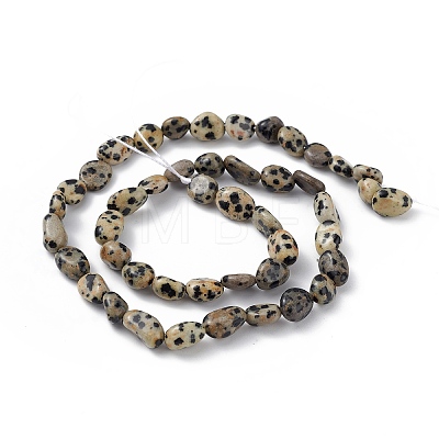 Natural Dalmatian Jasper Beads Strands X-G-B039-03A-1