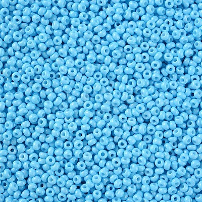 11/0 Grade A Baking Paint Glass Seed Beads X-SEED-N001-A-1019-1