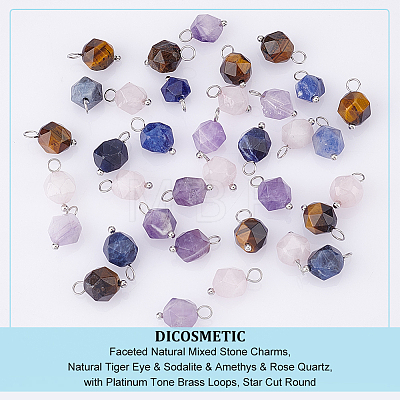 40Pcs 4 Styles Faceted Natural Mixed Stone Charms FIND-DC0001-36-1