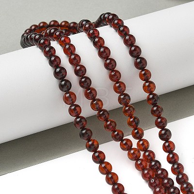 Natural Amber Beads Strands G-K387-D01-01-1