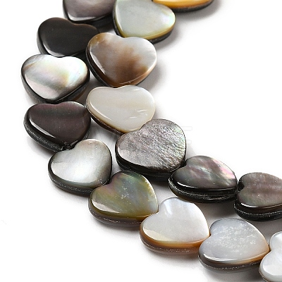 Natural Black Lip Shell Beads Strands SHEL-K006-17-1