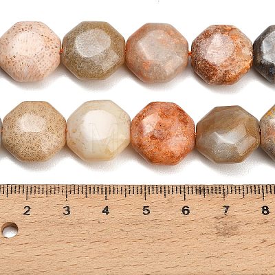 Natural Fossil Coral Beads Strands GG-CBA362F-01-1