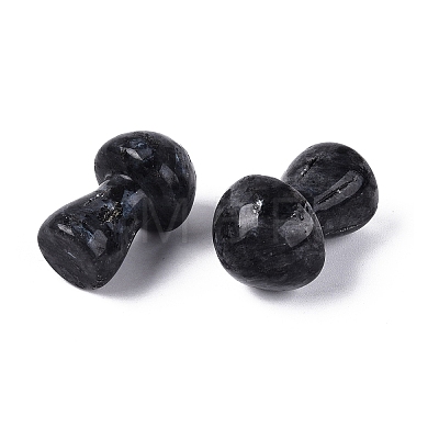 Natural Larvikite Mushroom Display Decorations G-Q602-03B-1