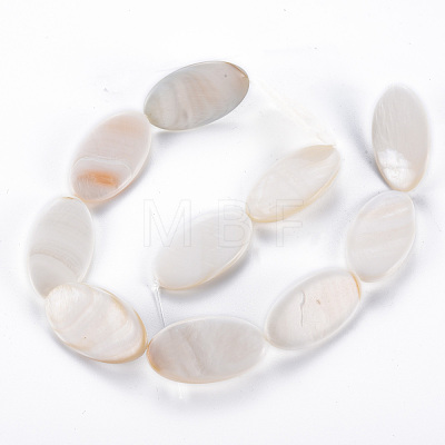 Natural Freshwater Shell Beads Strands SHEL-N026-169-1