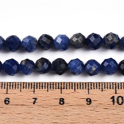 Natural Sodalite Beads Strands G-S345-6mm-26-1