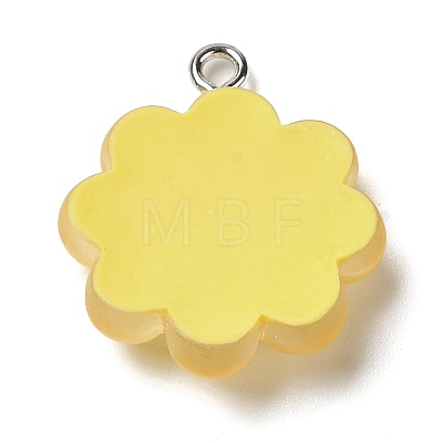 Translucent Resin Pendants RESI-L038-02P-03-1