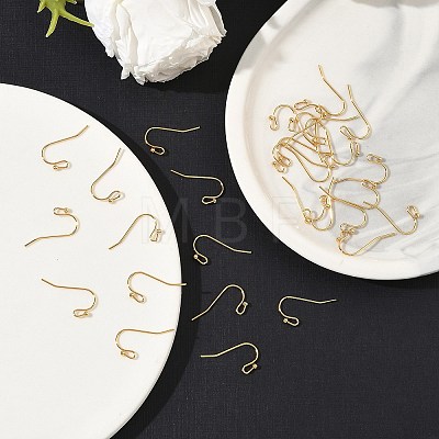 SHEGRACE Brass Earring Hooks XGR0138G-154G-1