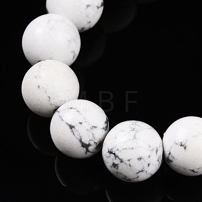 Natural Howlite Beads Stretch Bracelets BJEW-T022-04O-1