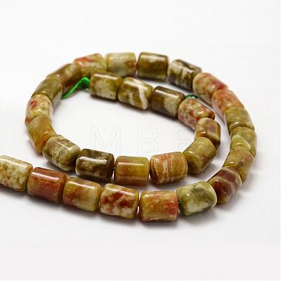 Column Natural Dragon Blood Jasper Beads Strands G-K070-11-1