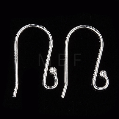 925 Sterling Silver Earring Hooks STER-G011-20-1