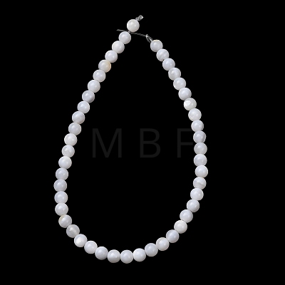 Natural Freshwater Shell Beads Strands SH-CBA2978-07D-03-1