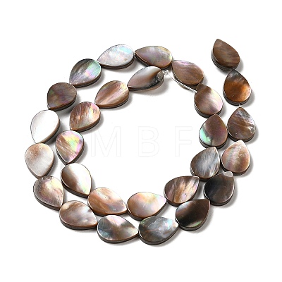 Natural Sea Shell Beads Strands SHEL-K006-39-1