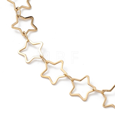 Ion Plating(IP) 304 Stainless Steel Star Link Chain Anklets for Men Women STAS-B039-14G-1