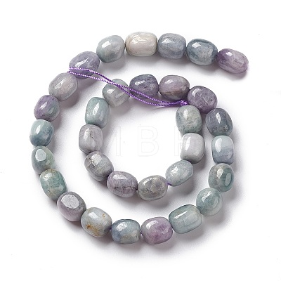 Natural Kunzite Beads Strands G-K331-005D-1
