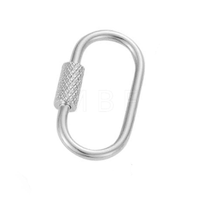 Stainless Steel Keychain Clasps PW-WGDACCF-02-1