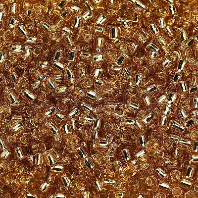 TOHO 6/0 Round Beads SEED-XTR06-0022-1