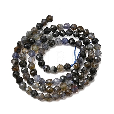 Natural Iolite Beads Strands G-G343-B01-4mm-1