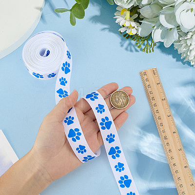 Polyester Ribbons OCOR-WH0120-47A-1