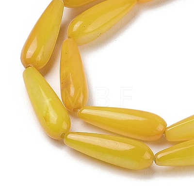 Natural Freshwater Shell Beads Strands SHEL-A004-03D-1