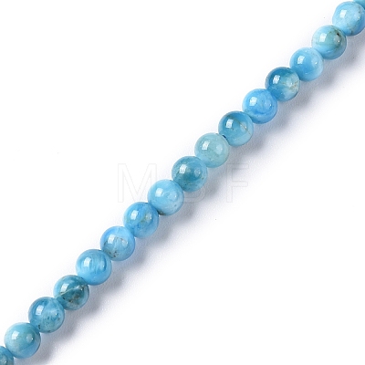 Natural Apatite Beads Strands G-I254-08H-1