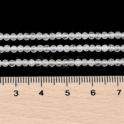 Natural Rainbow Moonstone Beads Strands G-G189-D20-02-1