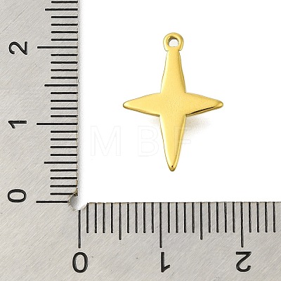 304 Stainless Steel Charms STAS-D192-07G-1