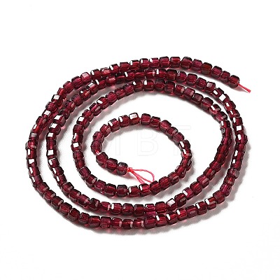 Natural Garnet Beads Strands X-G-B026-09-1