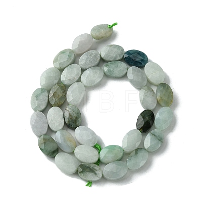 Natural Myanmar Jadeite Beads Strands G-A092-E01-01-1