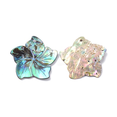 Natural Abalone Shell/Paua Shell Pendants BSHE-Z002-04-1